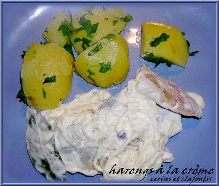 Hareng, hareng, petit patapon - Cuisine de la mer