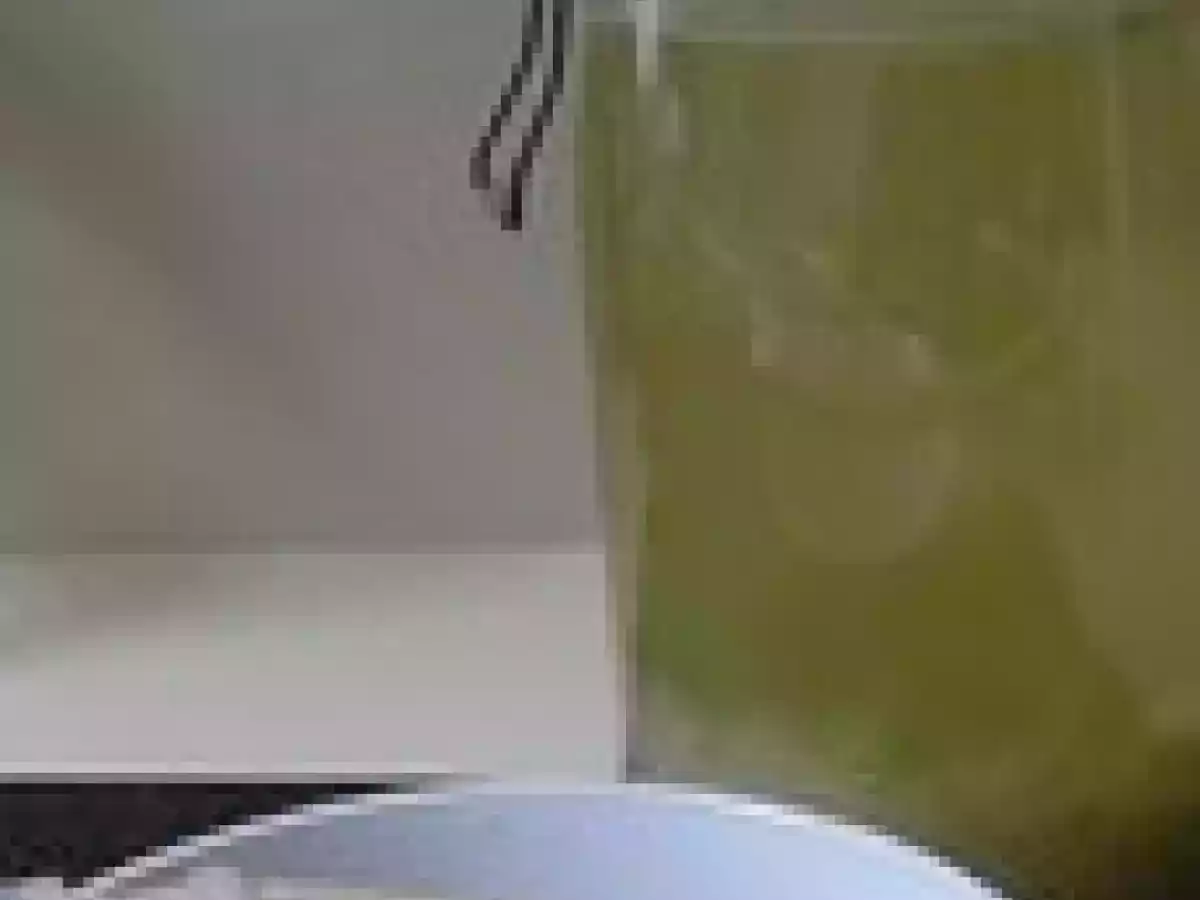 HELP! J'ai trop de grains de kéfir! - photo 2