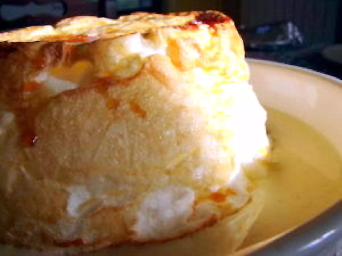 Ile flottante géante - photo 2