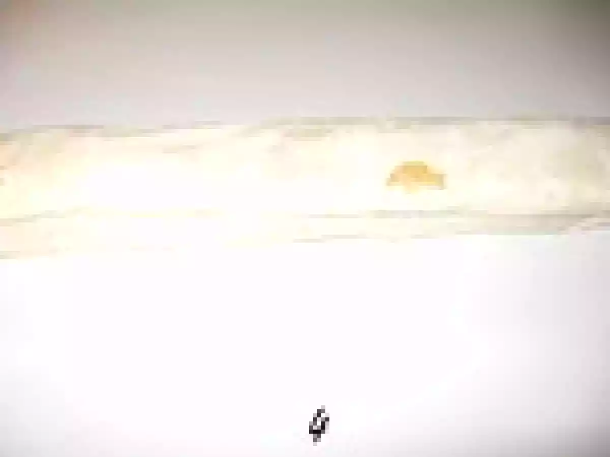 Leçon de baklawa - Réedition de la recette magique de ma grand-mère - photo 4