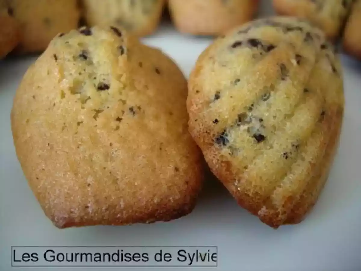 Madeleines au Citron et aux Pépites de Chocolat - photo 2