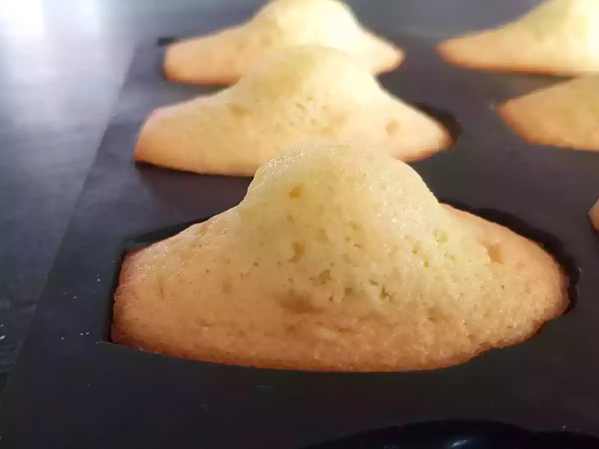 Madeleines de Commercy faciles