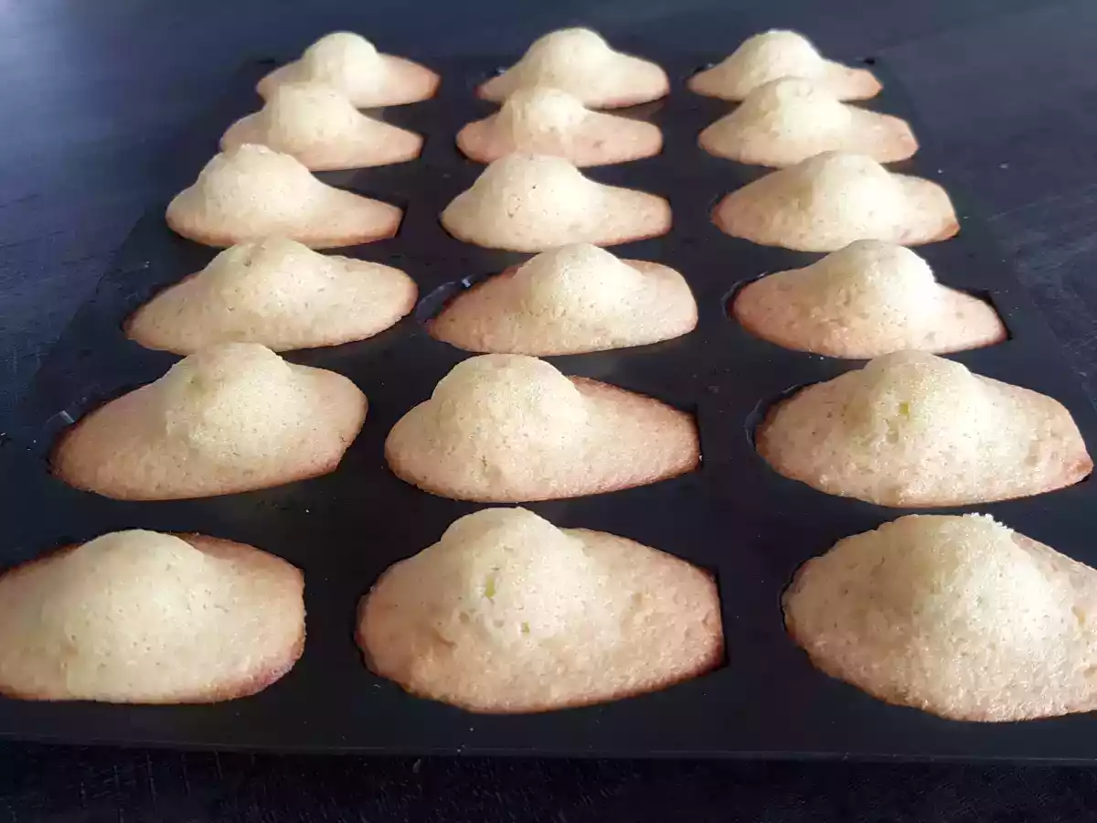 Madeleines de Commercy faciles - photo 5