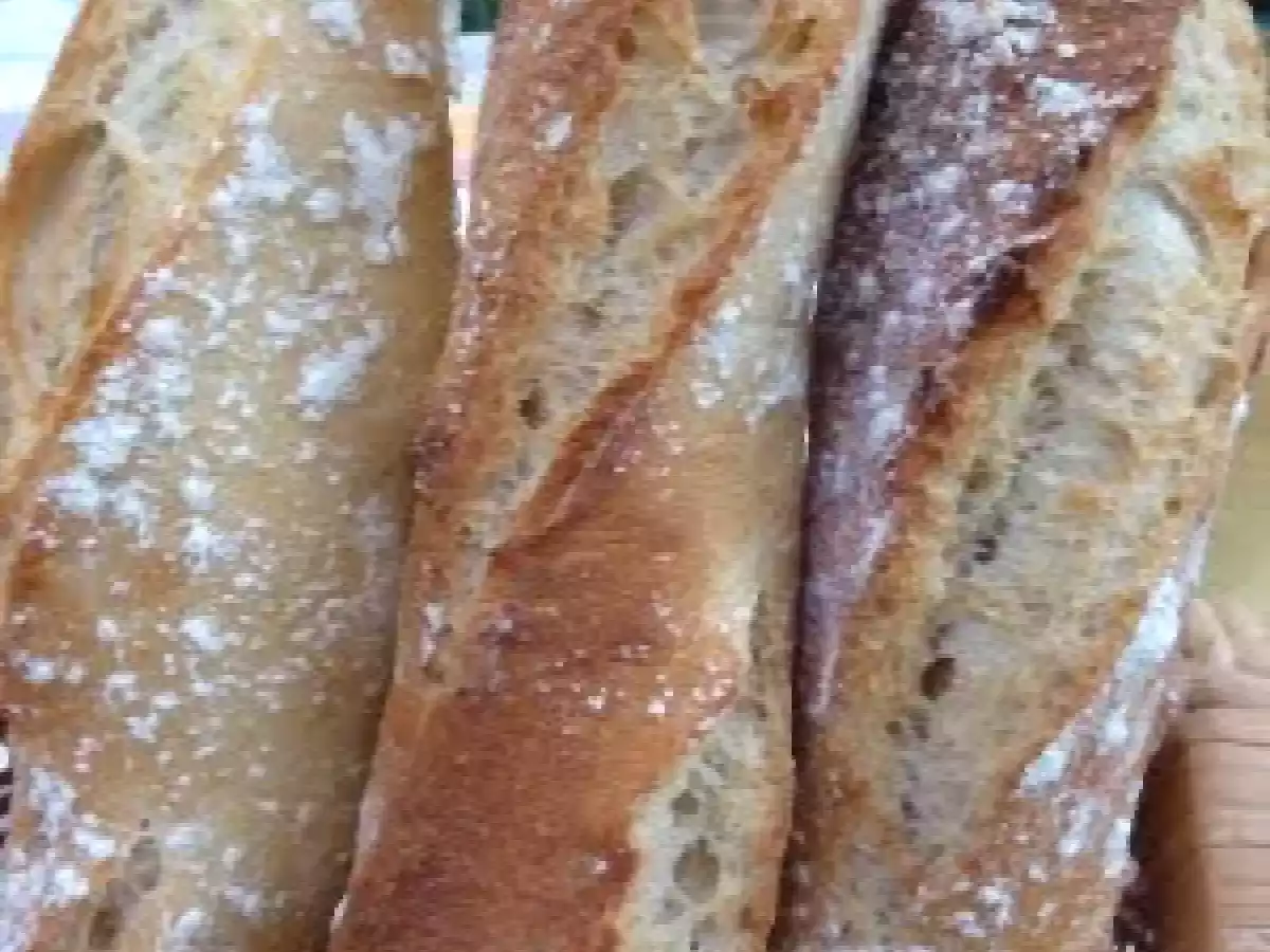 Mes secrets pour réussir une belle et bonne baguette maison - photo 4