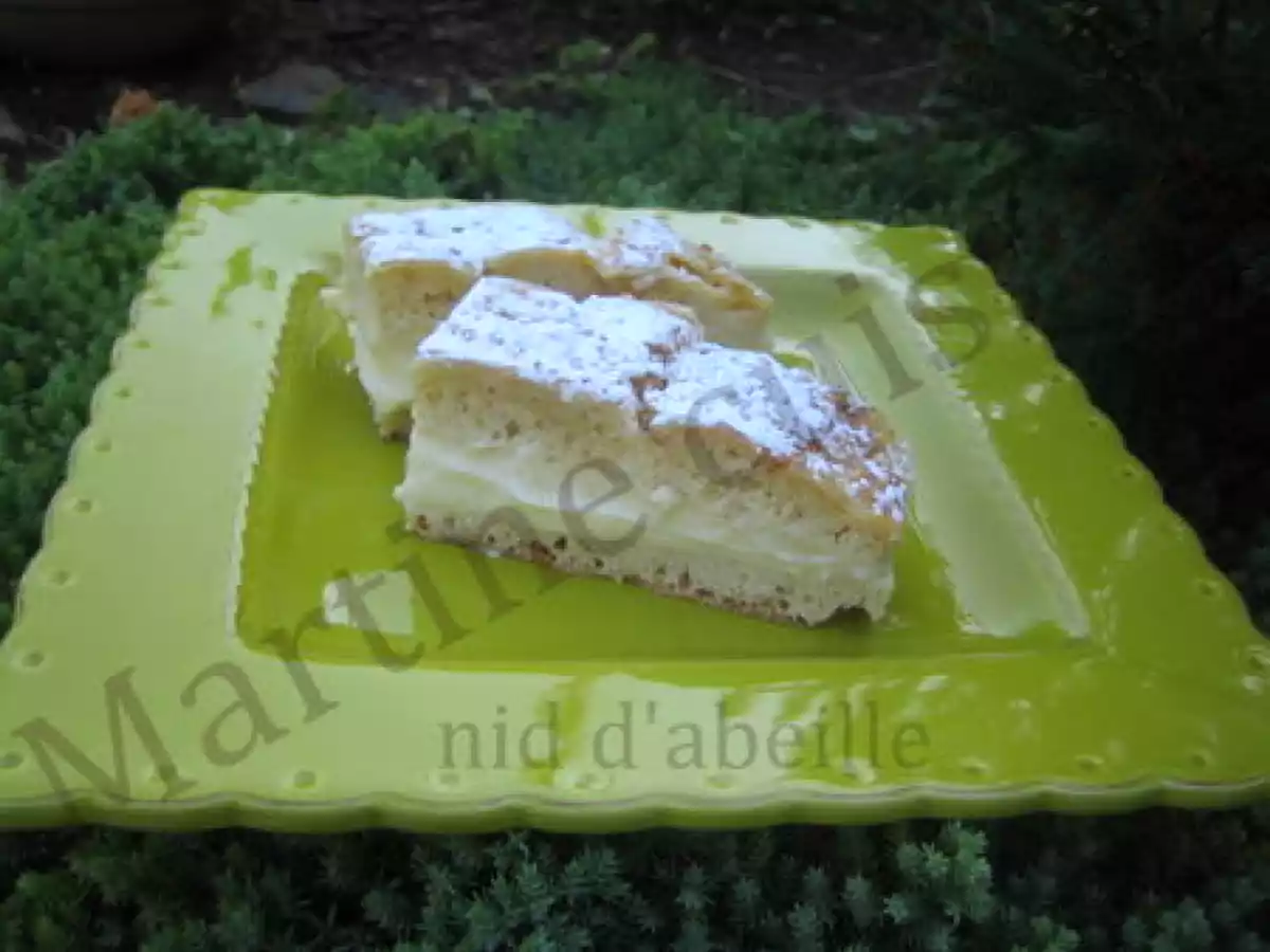 Nid d'abeille ou bienestich - photo 2