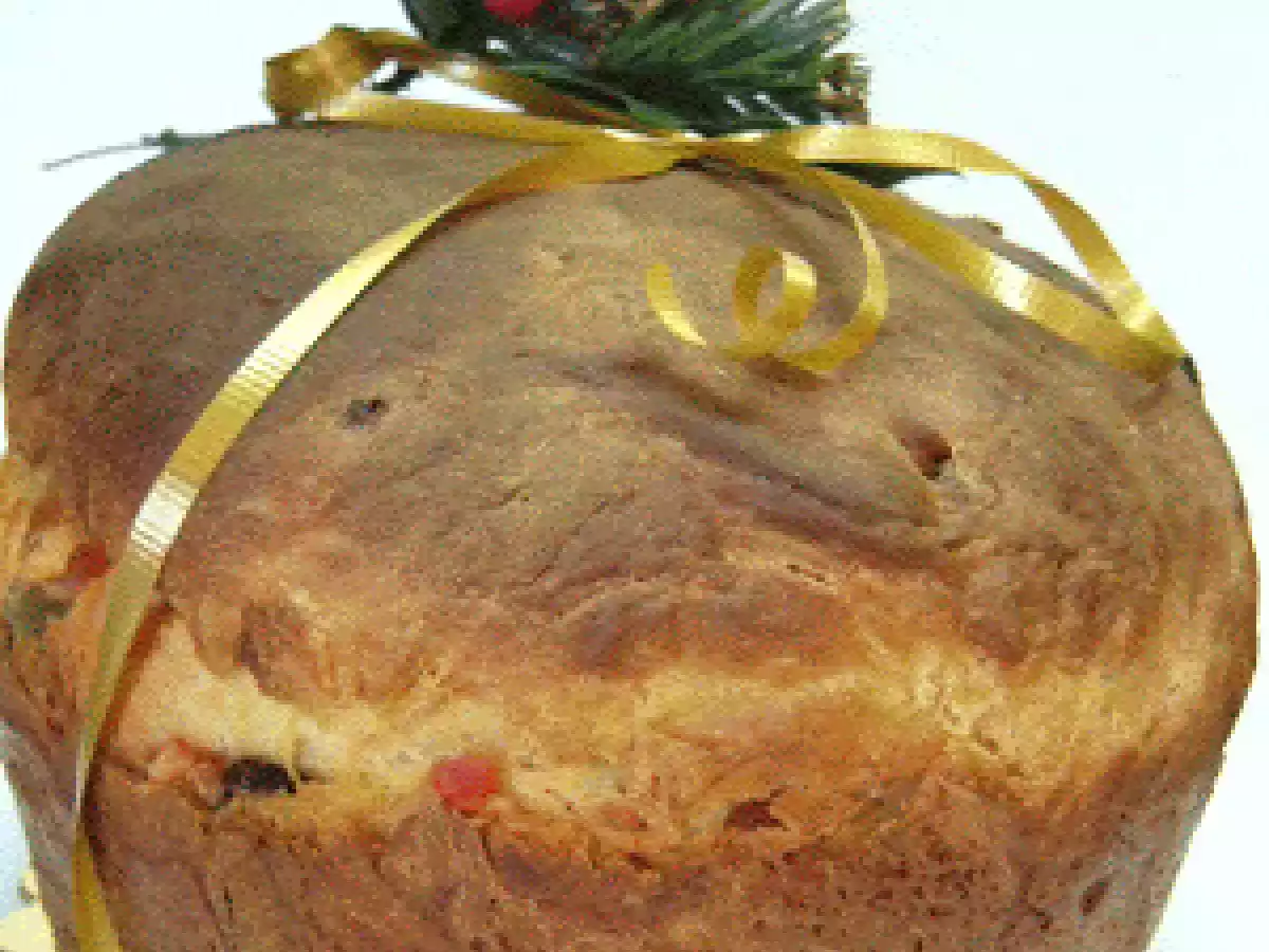 Panettone italien