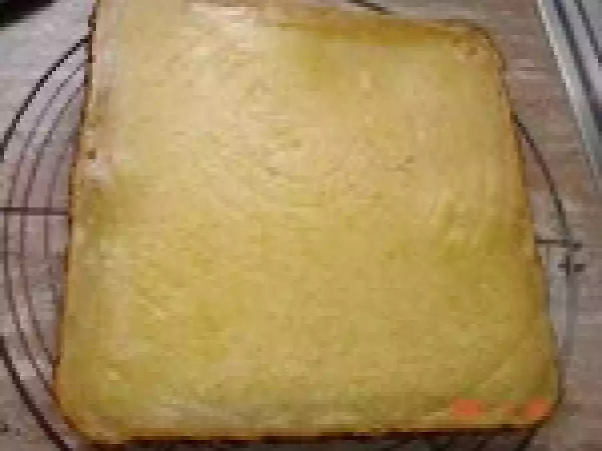 Petits carrés au citron et citron vert - photo 3