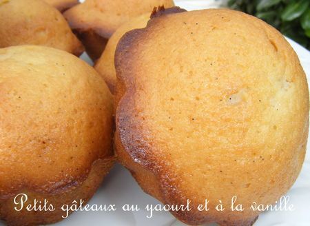 Petits Gateaux Au Yaourt Et A La Vanille Recette Ptitchef