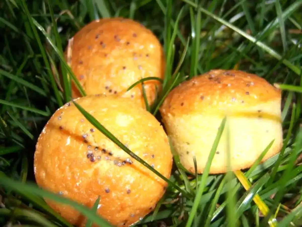 Petits moelleux au citron vert et pavot - photo 3