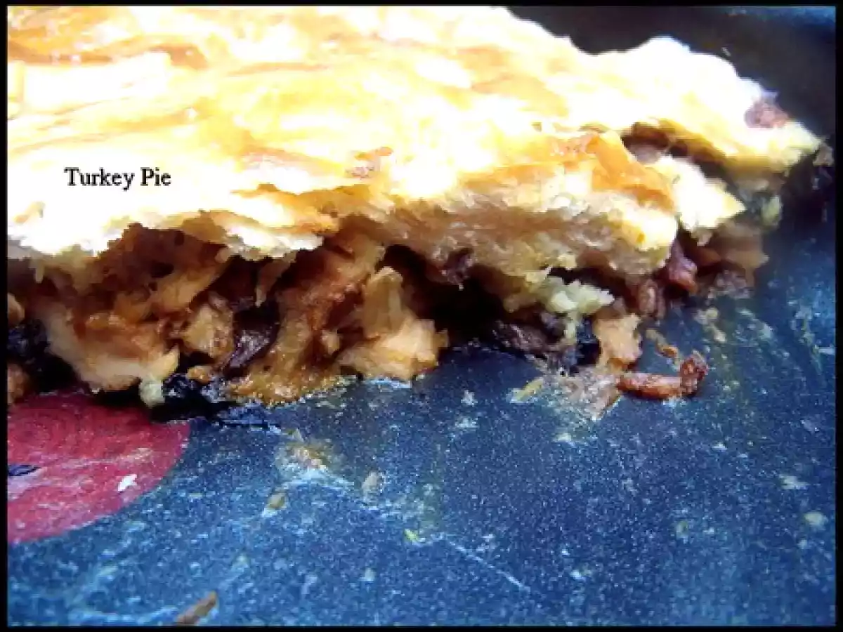 Que faire avec des restes de dinde ? - photo 2