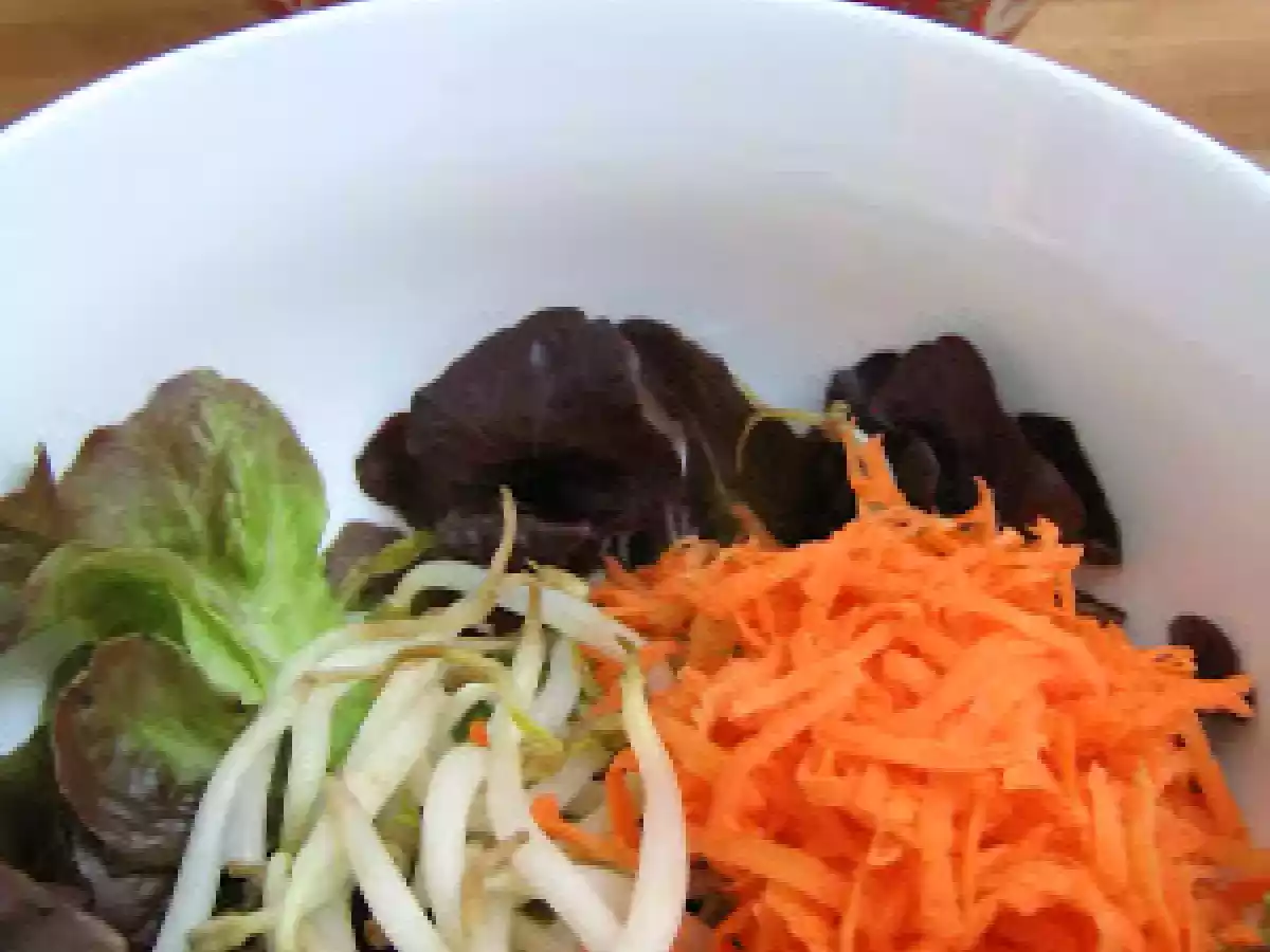 Saveurs viêtnamiennes: le bô bun - photo 2