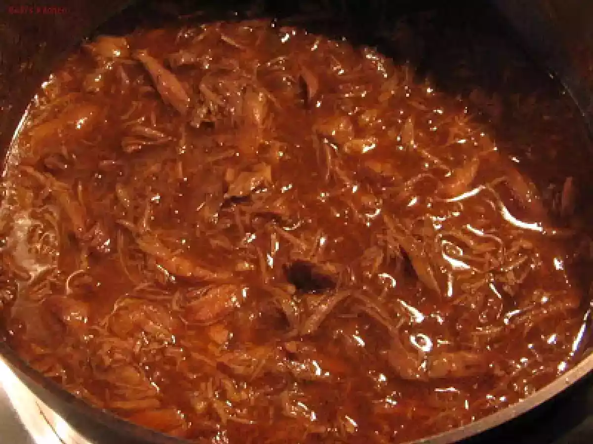 Sugo all'anatra - photo 6