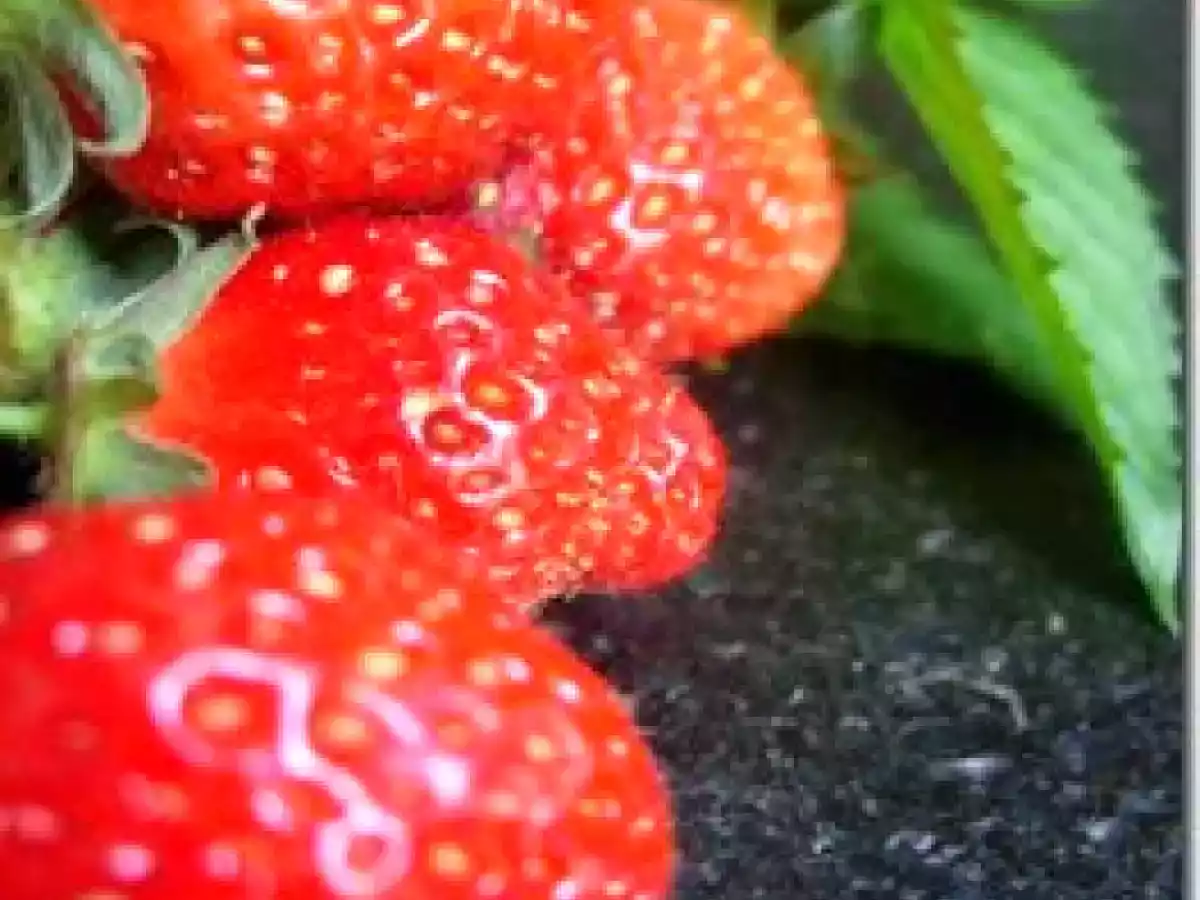 Taboulé de Quinoa vitaminé version sucrée aux fruits frais - photo 4