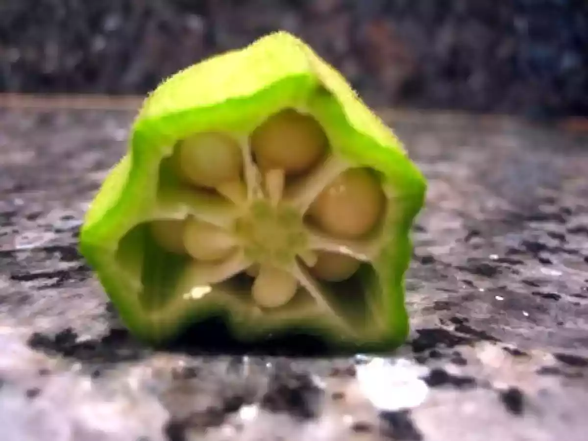 Tagine d'agneau aux coings et aux gombos pour Lavande de Ligne et Papilles - photo 4