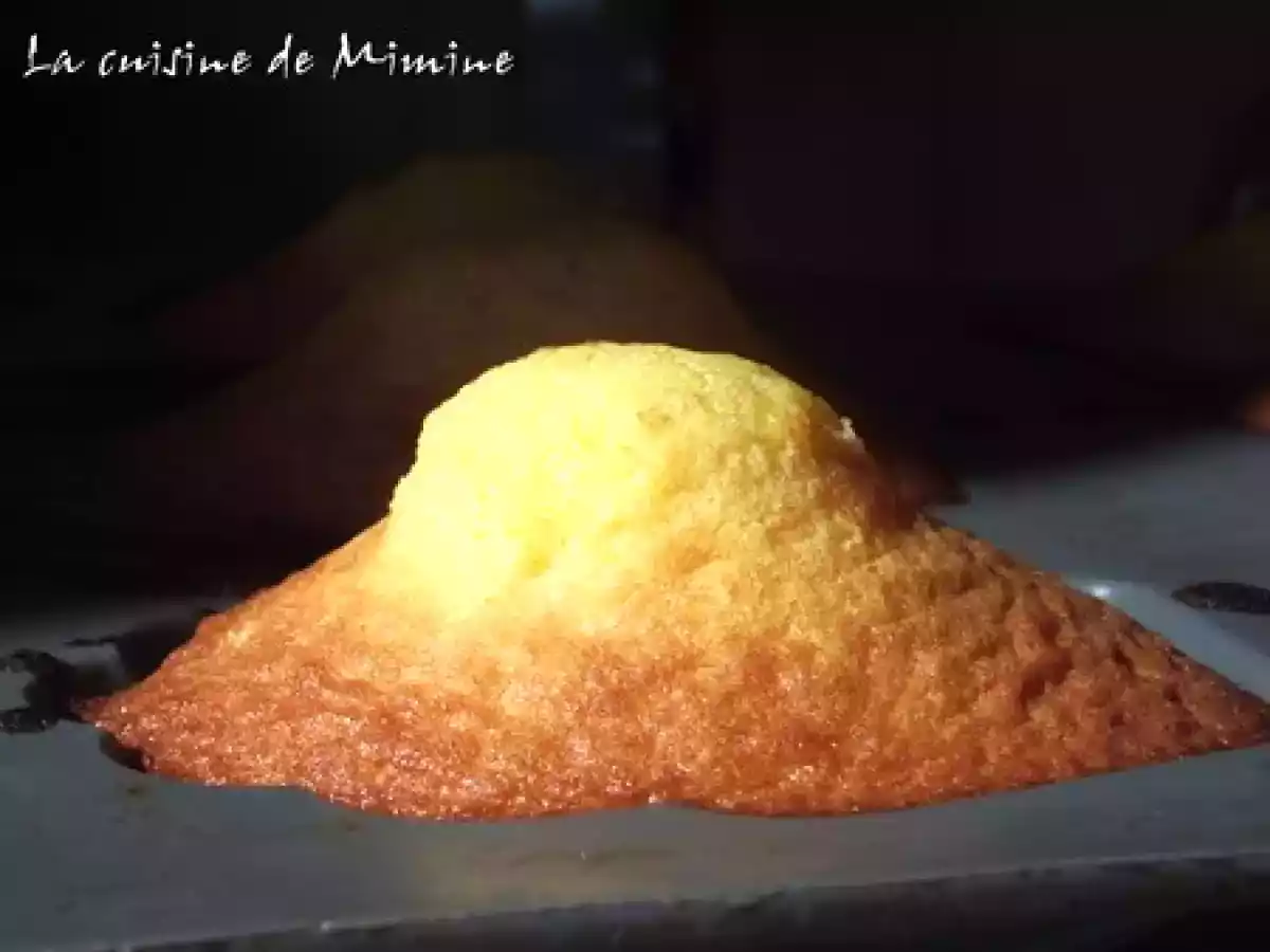 Traditionel revisité : Madeleines à bosses au miel et à l'ananas confit de P&P - photo 2
