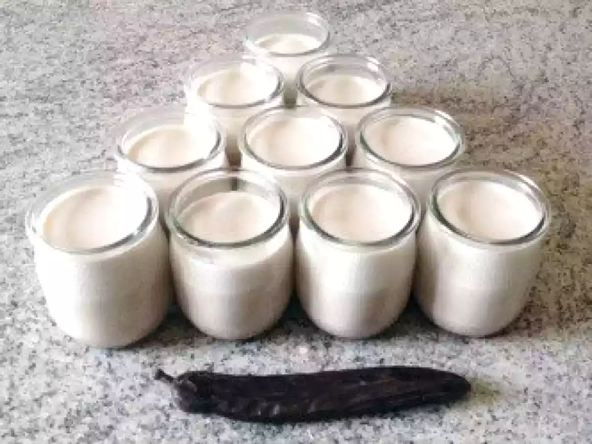 Yaourts au Cacao de Caroube - photo 2