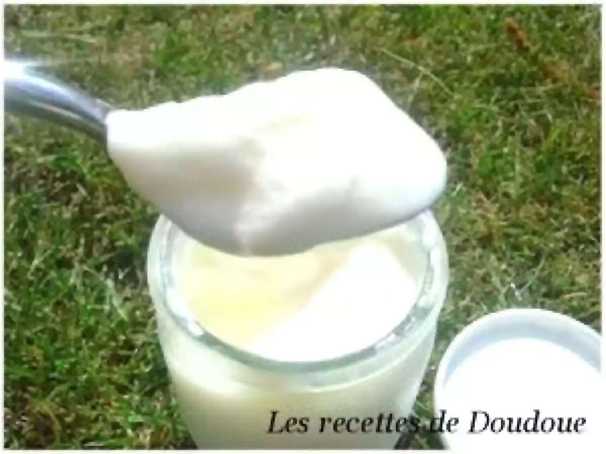 Yaourts Nature à la cassonade