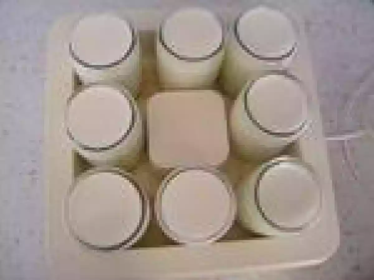 Yaourts Nature à la cassonade - photo 2