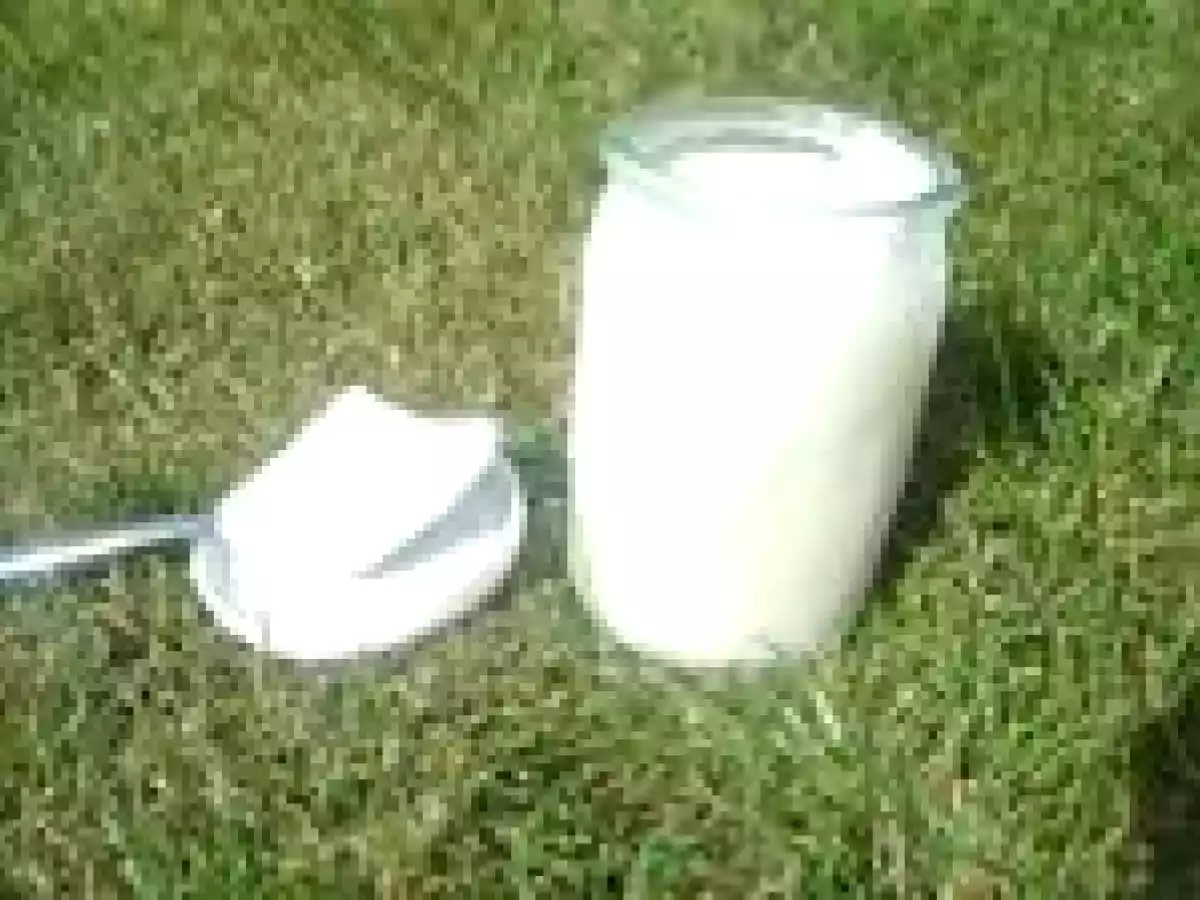 Yaourts Nature à la cassonade - photo 4